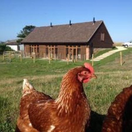 Surf Shack - Impeccable 1-Bed Cottage In Shorwell Exteriér fotografie