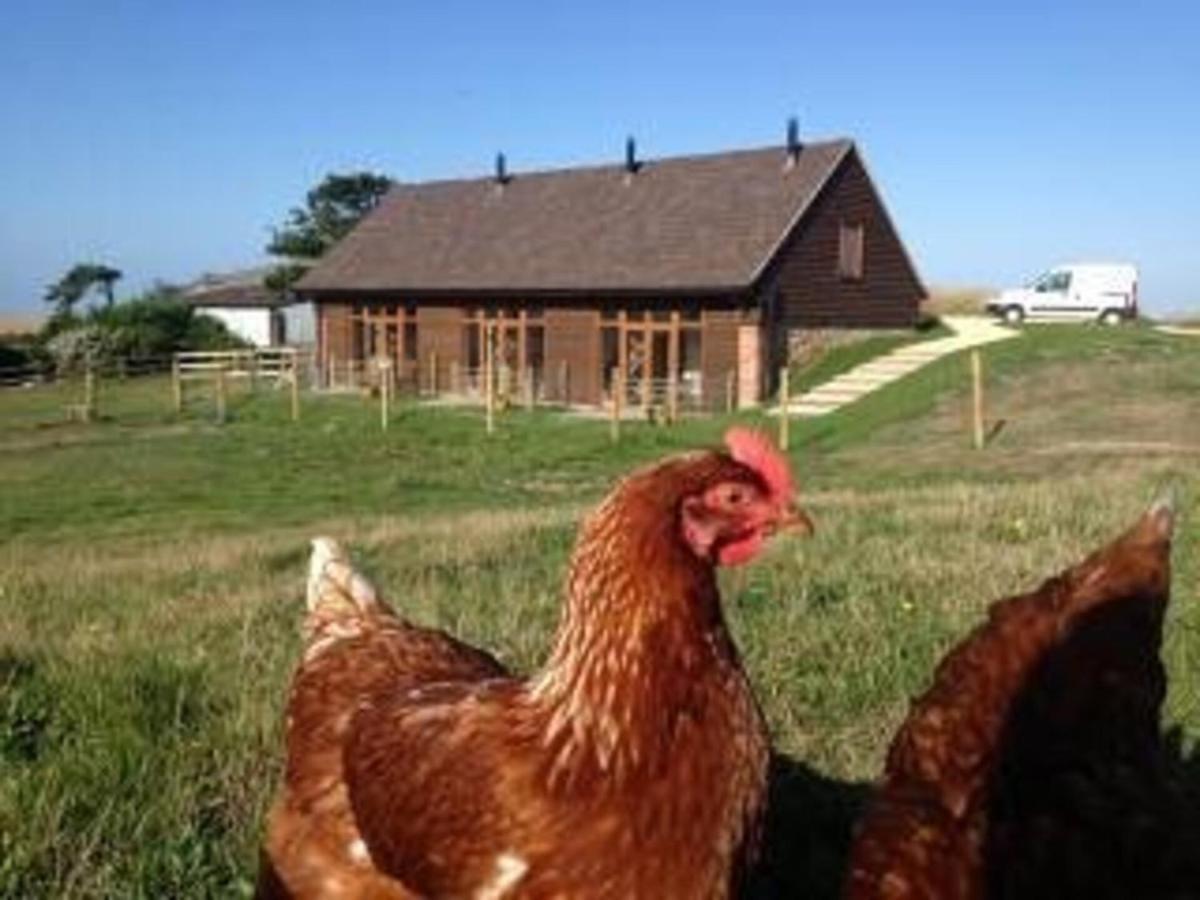 Surf Shack - Impeccable 1-Bed Cottage In Shorwell Exteriér fotografie