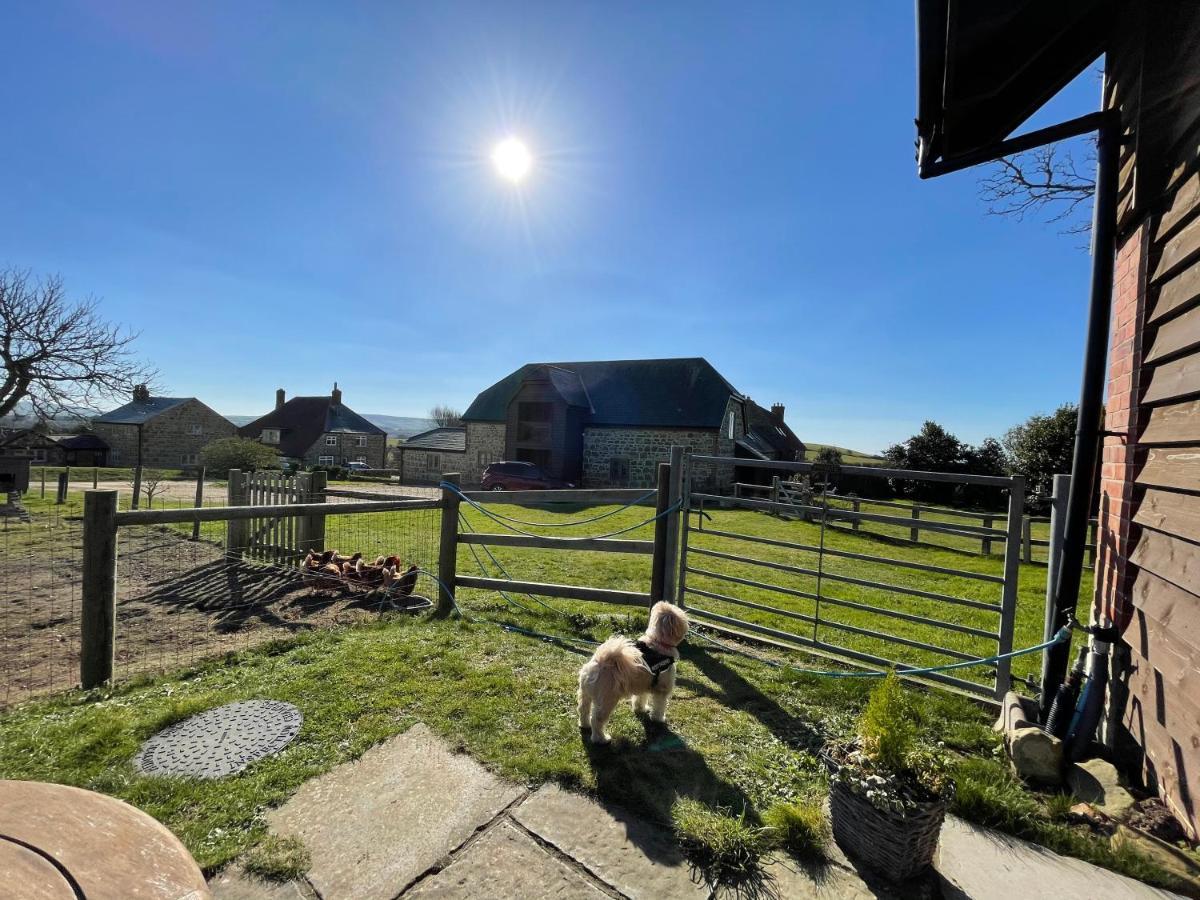 Surf Shack - Impeccable 1-Bed Cottage In Shorwell Exteriér fotografie